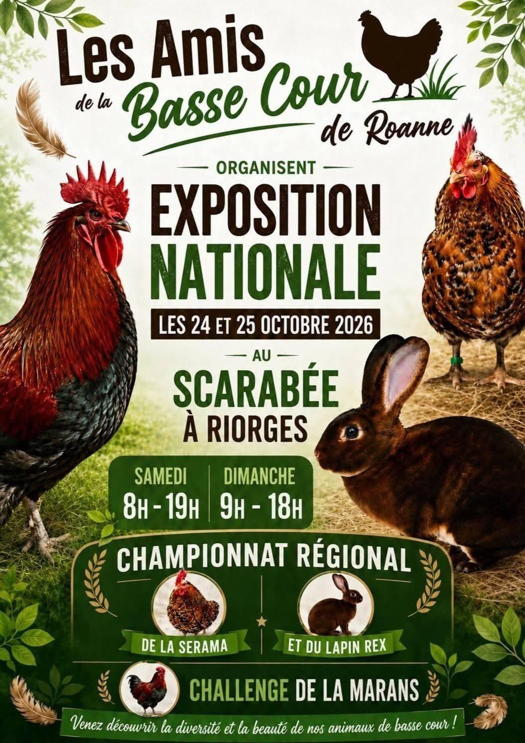 Affiche 1